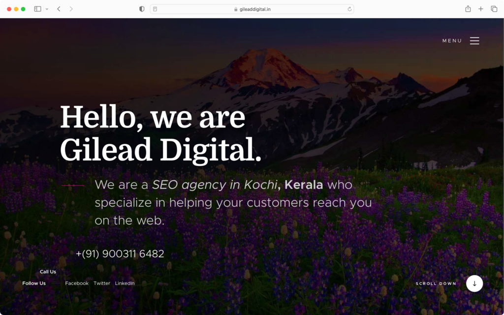 Gilead Digital can provide the best SEO services in Kochi.