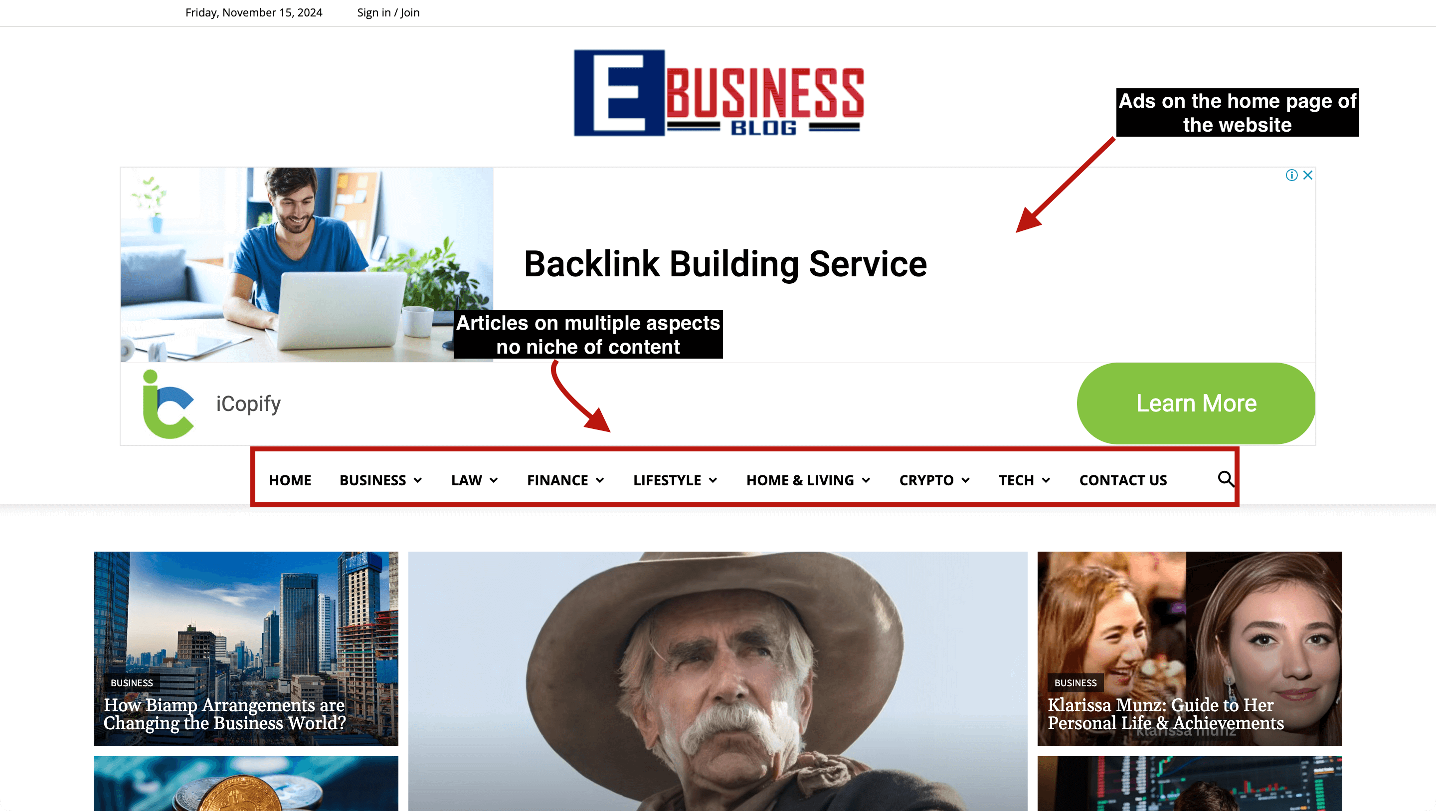 Example of a PBN website you should avoid while building high authority backlinks. 