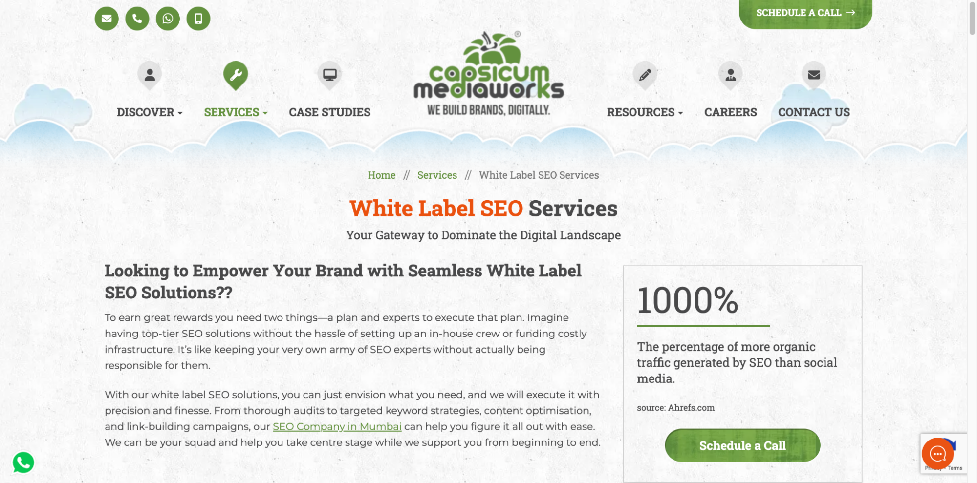 Capsicum Mediaworks SEO company for small businesses in India.