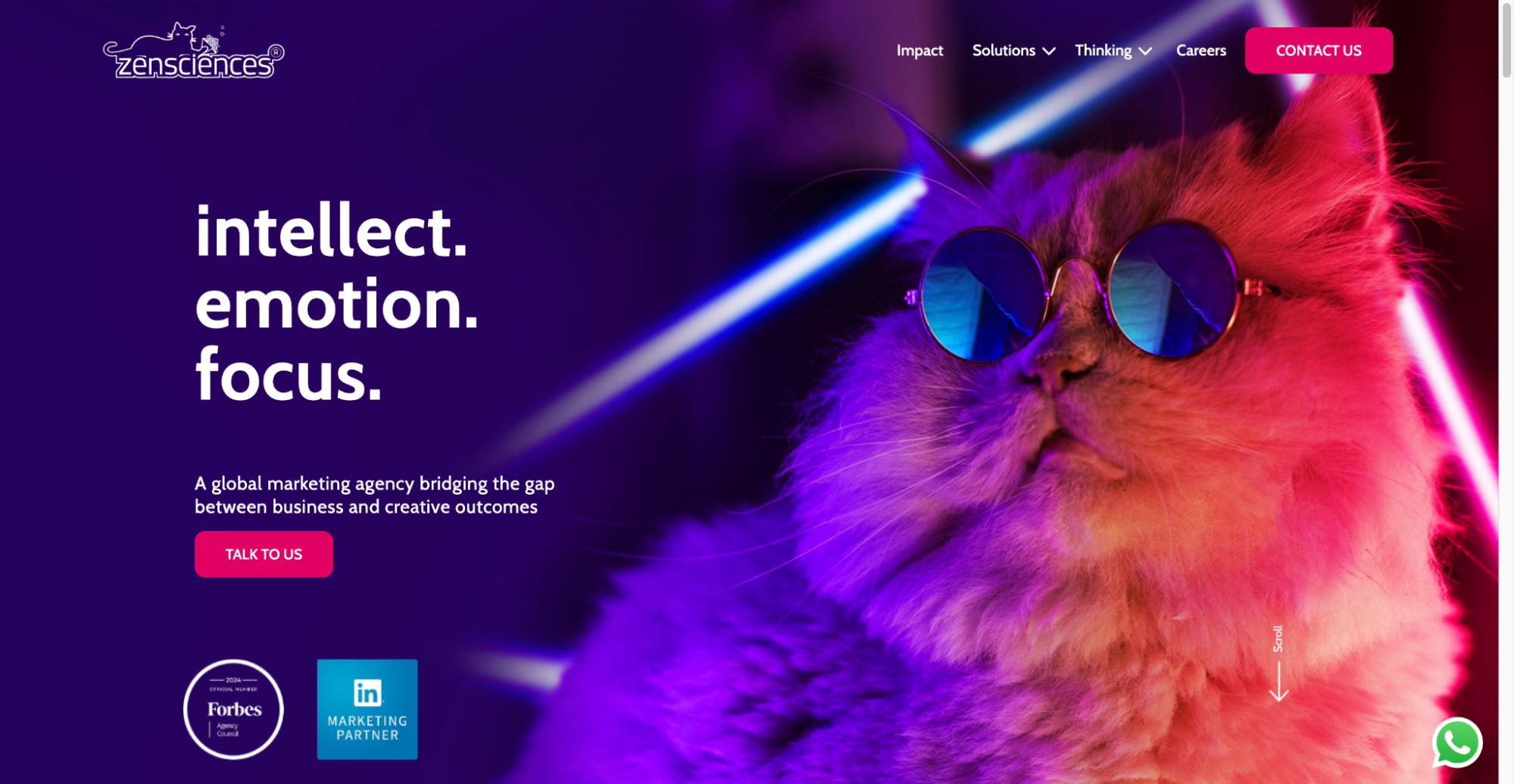 Zensciences is a B2B marketing agency in Bangalore known for brand strategy, design, and digital growth services.